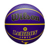 NBA Lebron James Icon Outdoor Basketball
