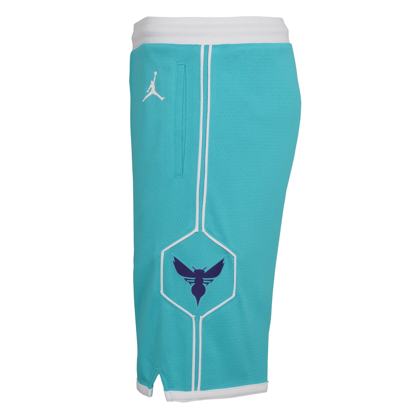 Boys Charlotte Hornets Icon Swingman Replica Shorts