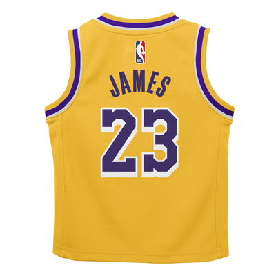 Kids Los Angeles Lakers Lebron James Icon Jersey