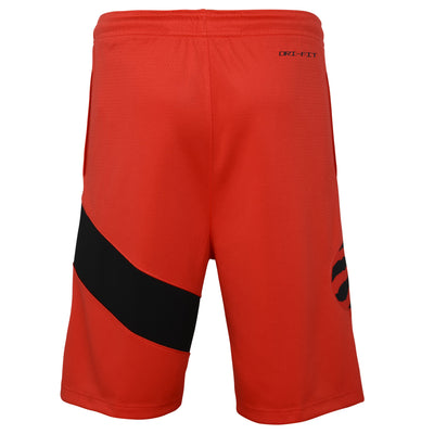 Boys Toronto Raptors Icon Swingman Replica Shorts