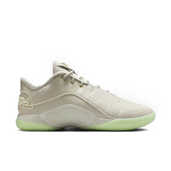 Mens Lebron XXII Basketball Shoe