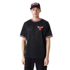 Mens Chicago Bulls Mesh T-Shirt