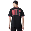 Mens Chicago Bulls Mesh T-Shirt