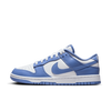 Mens Dunk Low Retro Shoe