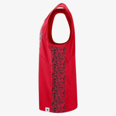 Mens Chicago Bulls Tank