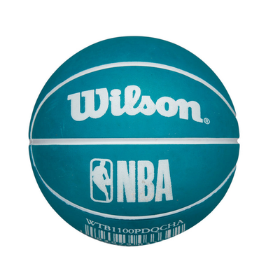 Charlotte Hornets NBA Dribbler Bouncy Ball