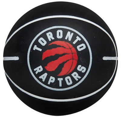 Toronto Raptors Mini Dribbler Ball