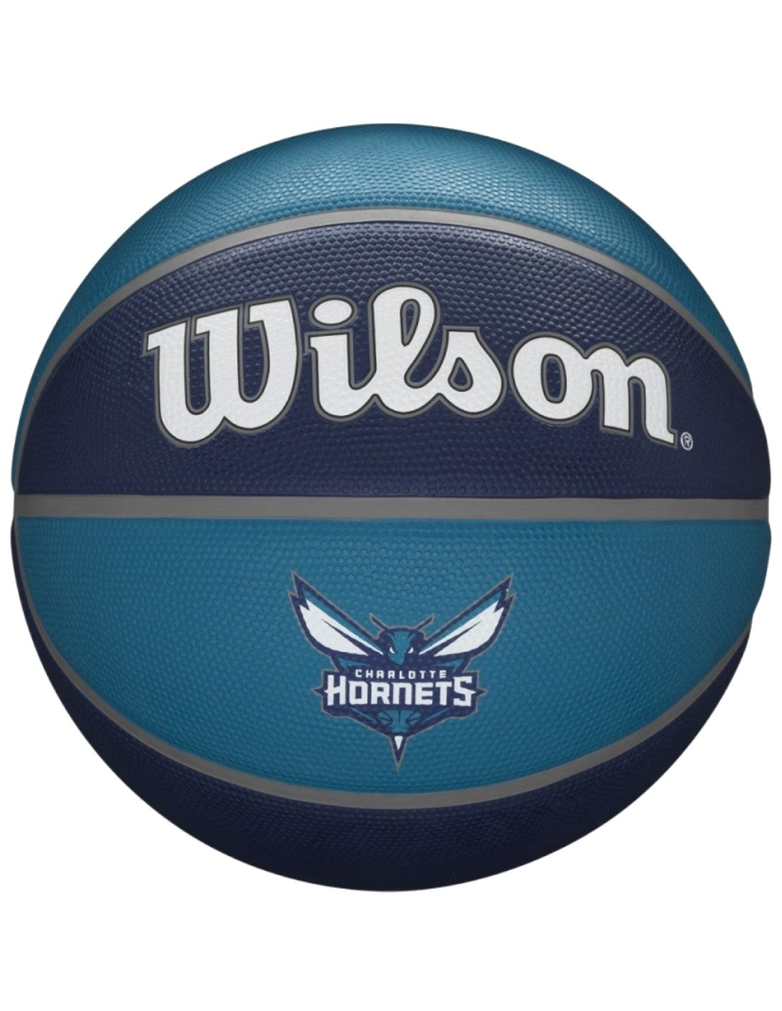 Charlotte Hornets Team Tribute Basketball