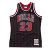 Michael Jordan Chicago Bulls &