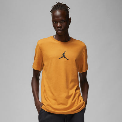 Mens Jumpman  Dri-fit Short Sleeve T-Shirt