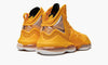 Mens LeBron 19 Shoe
