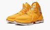 Mens LeBron 19 Shoe