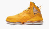 Mens LeBron 19 Shoe